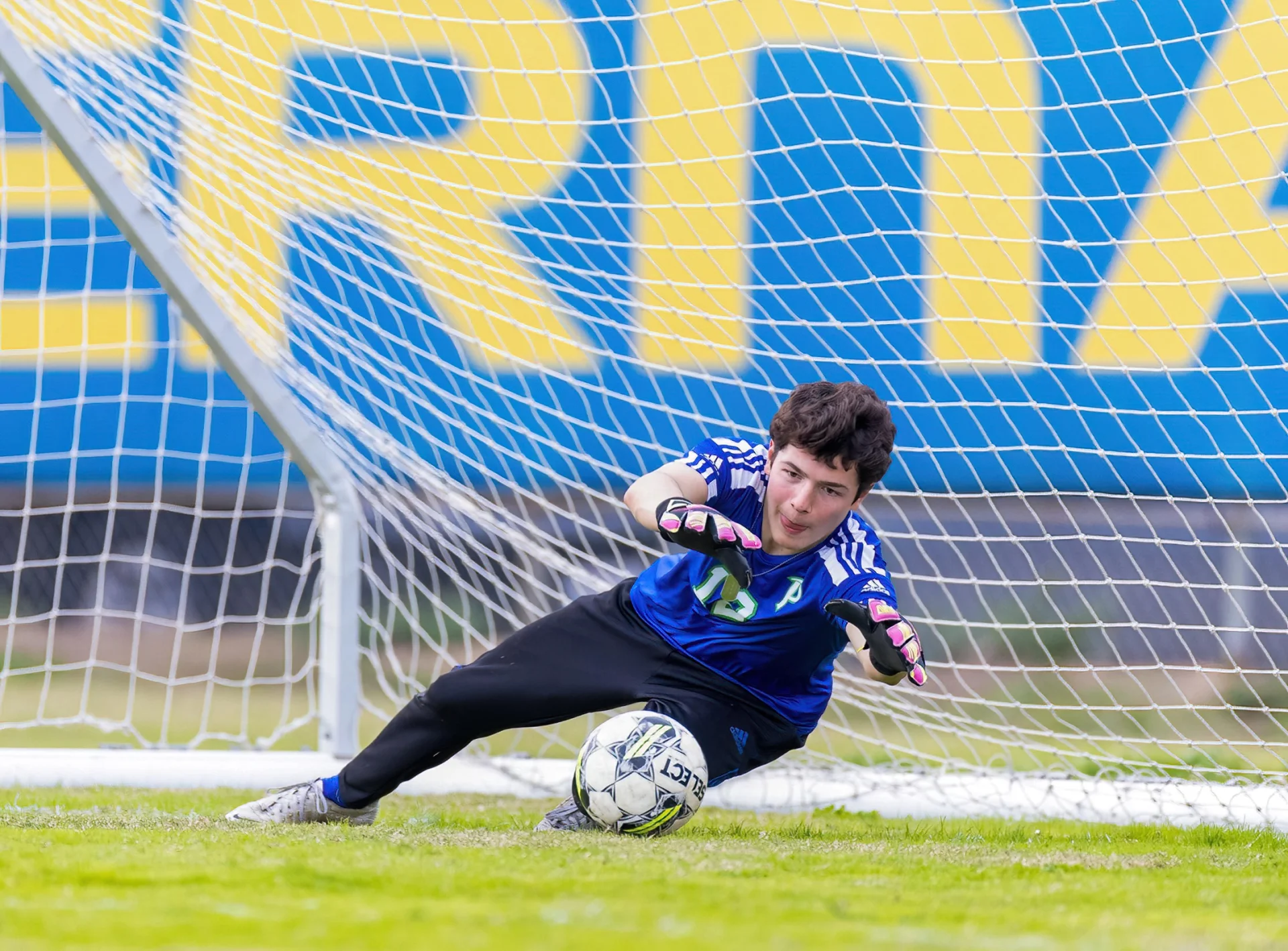 Untitled 5 Denoiseai Severe Noise 53449591147 O.webp