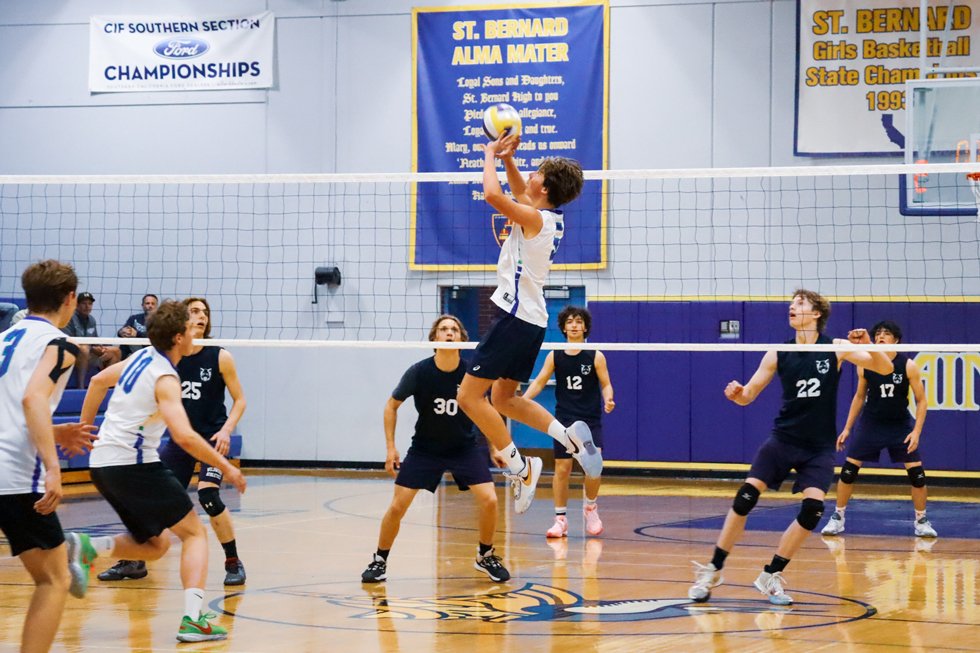 Pacifica Boys Volleyball Net2