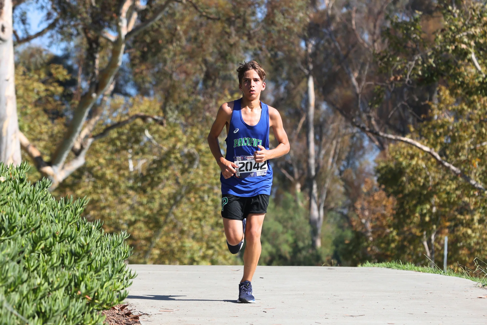 Cross Country 25 2.webp