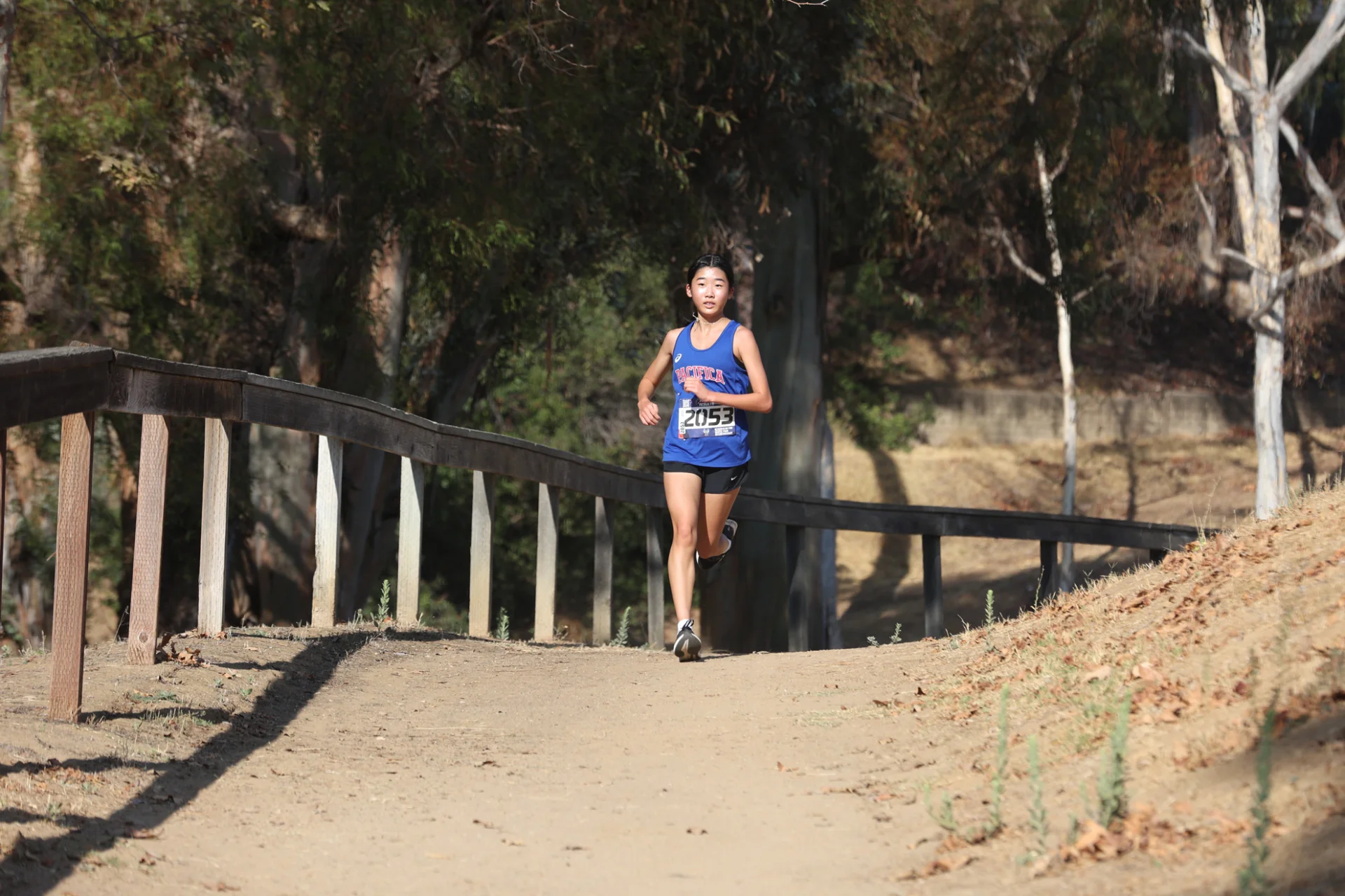 Cross Country 25 5.webp