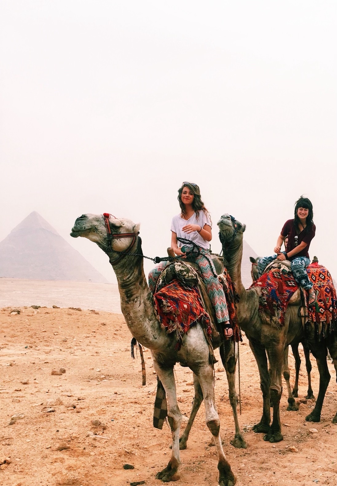 Meet Bethany Wiseblood, Admissions Associate